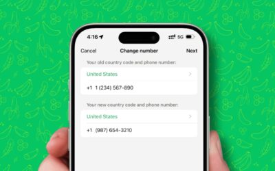 Comment changer de numéro de téléphone sur WhatsApp sans perdre vos conversations : le guide de Microwest