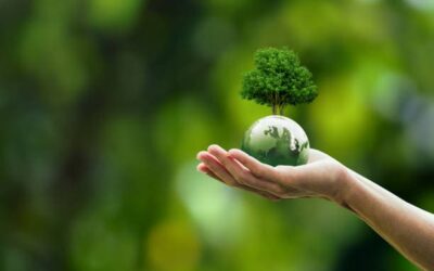 Smartphones et Durabilité : Réparer pour un Avenir Plus Vert